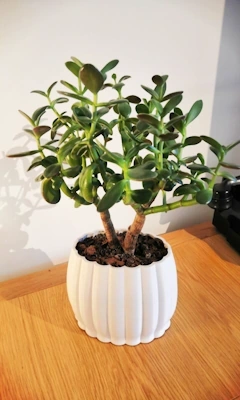 Basket Plant Pot